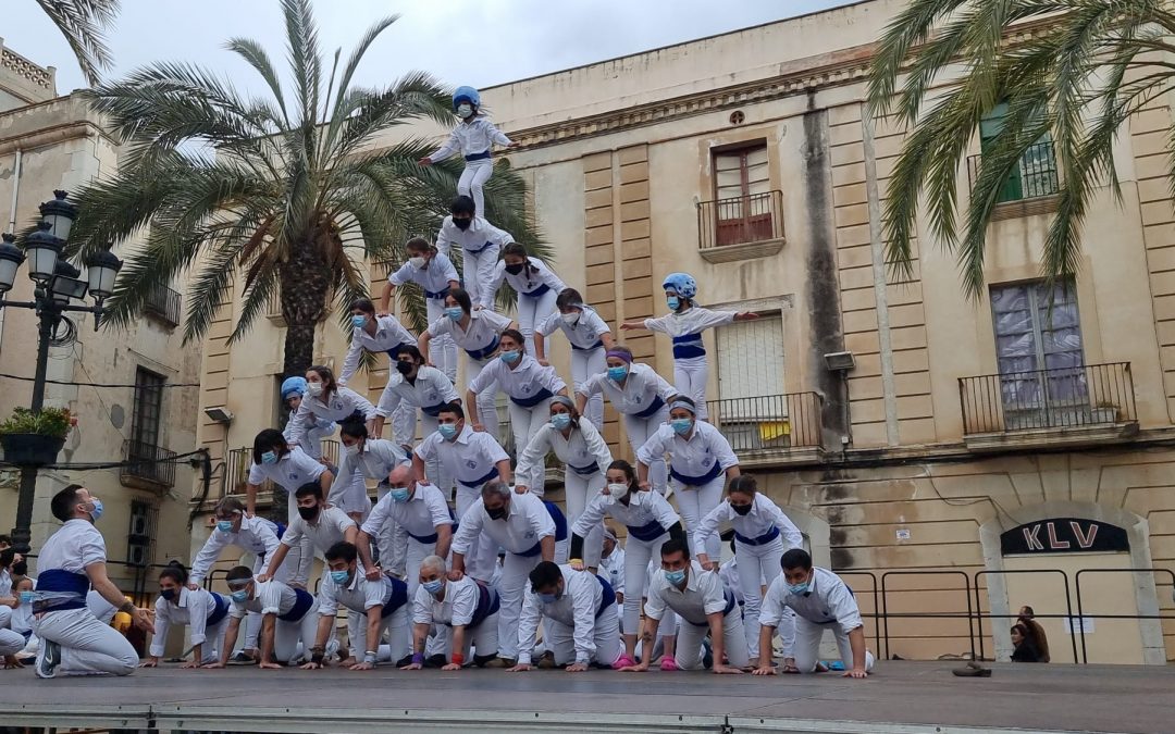 Sant Jordi: roses i falcons!